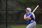 Softball vs Babson  Wheaton College Softball vs Babson College. - Photo by Keith Nordstrom : Wheaton, Softball, Babson, NEWMAC
